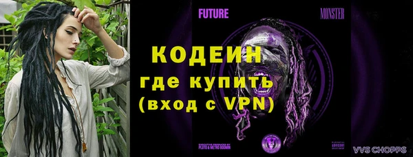 ПСИЛОЦИБИНОВЫЕ ГРИБЫ Арсеньев