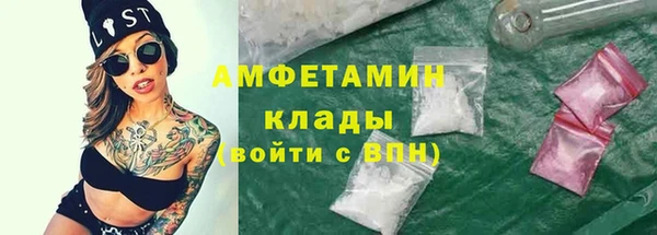 ПСИЛОЦИБИНОВЫЕ ГРИБЫ Арсеньев
