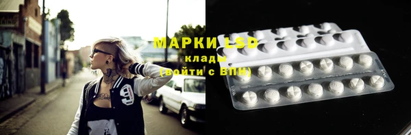 прущие грибы Навашино
