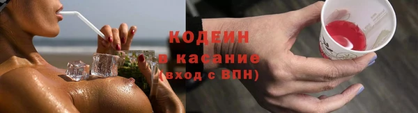 ПСИЛОЦИБИНОВЫЕ ГРИБЫ Арсеньев