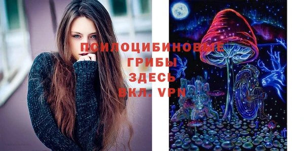 2c-b Аркадак