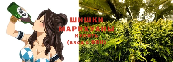 ПСИЛОЦИБИНОВЫЕ ГРИБЫ Арсеньев