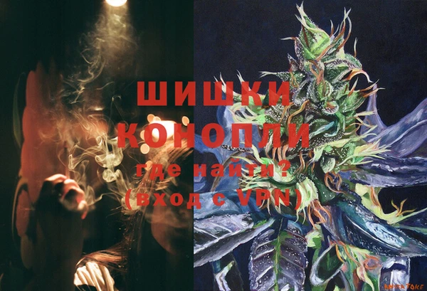 ПСИЛОЦИБИНОВЫЕ ГРИБЫ Арсеньев