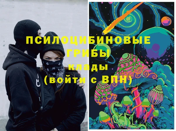 2c-b Аркадак