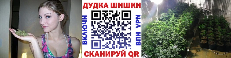 где купить наркотик  Давлеканово  Шишки марихуана Amnesia 